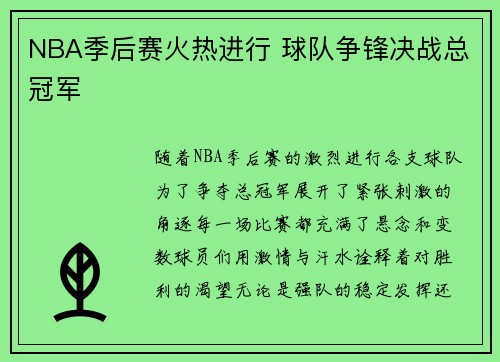 NBA季后赛火热进行 球队争锋决战总冠军